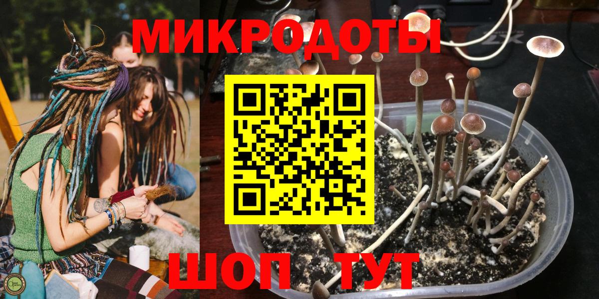 Кушва  Псилоцибиновые грибы мухоморы  Псилоцибиновые грибы Psilocybe  Вход с VPN 